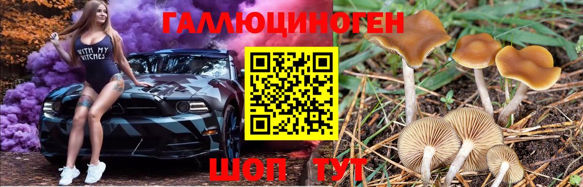 Йошкар-Ола  Галлюциногенные грибы Magic Shrooms  Вход с VPN  Галлюциногенные грибы прущие грибы 