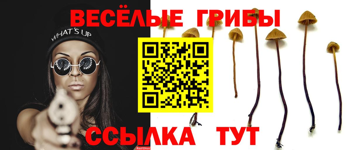 Псилоцибиновые грибы ЛСД Йошкар-Ола